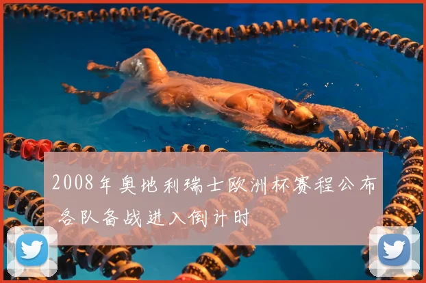 2008年奥地利瑞士欧洲杯赛程公布 各队备战进入倒计时