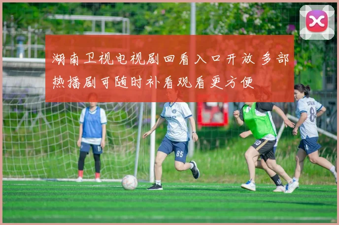 湖南卫视电视剧回看入口开放 多部热播剧可随时补看观看更方便