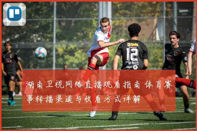 湖南卫视网络直播观看指南 体育赛事转播渠道与收看方式详解