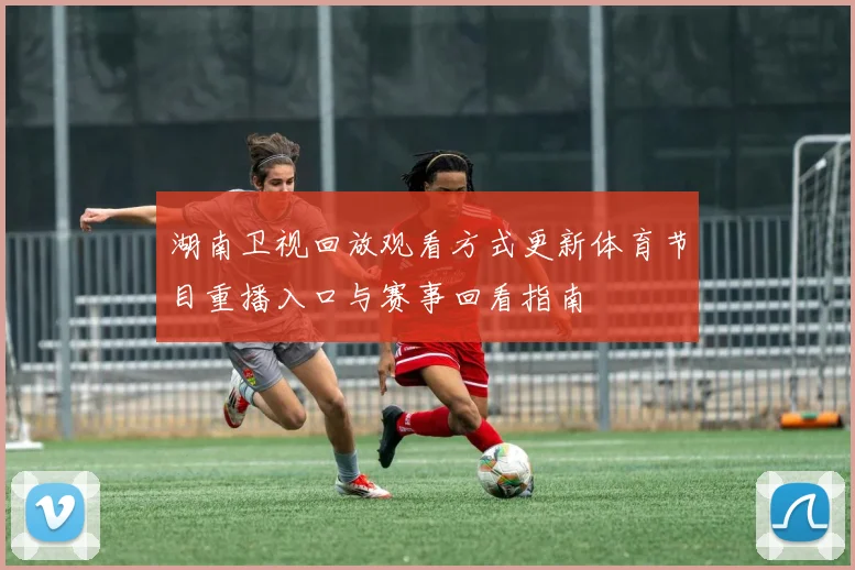 湖南卫视回放观看方式更新体育节目重播入口与赛事回看指南