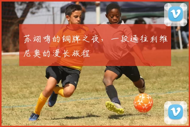 苏翊鸣的铜牌之夜，一段通往利维尼奥的漫长旅程