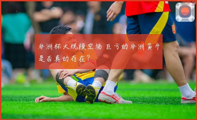 非洲杯大规模空场 巨亏的非洲黄牛是否真的存在？