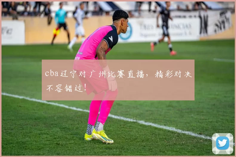 cba辽宁对广州比赛直播，精彩对决不容错过！