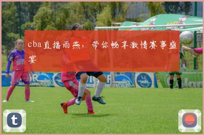 cba直播雨燕，带你畅享激情赛事盛宴