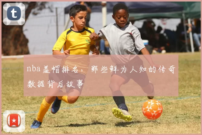 nba盖帽排名，那些鲜为人知的传奇数据背后故事