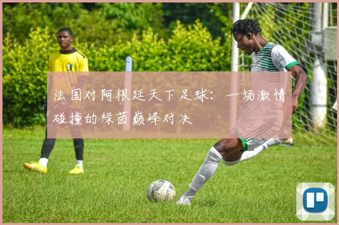 法国对阿根廷天下足球：一场激情碰撞的绿茵巅峰对决