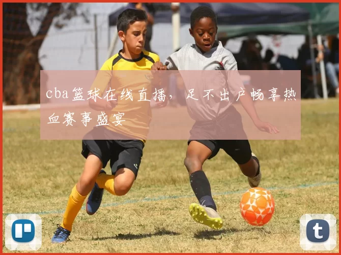 cba篮球在线直播，足不出户畅享热血赛事盛宴