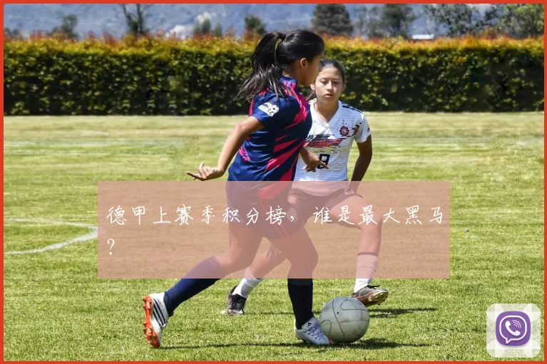 德甲上赛季积分榜，谁是最大黑马？